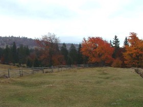 vacanta, cazare, ardeal